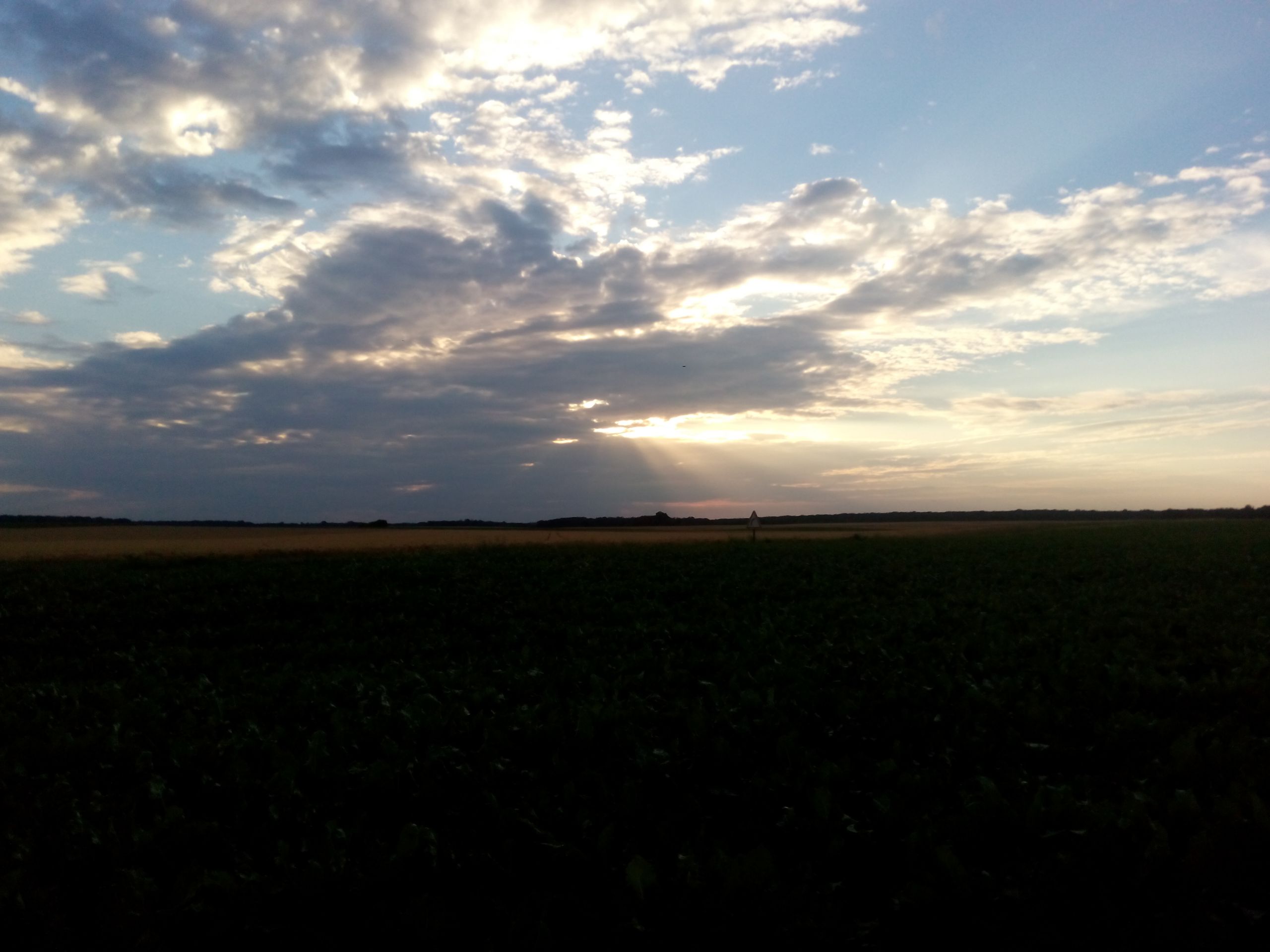 Fonds d'cran Nature Champs - Prairies 