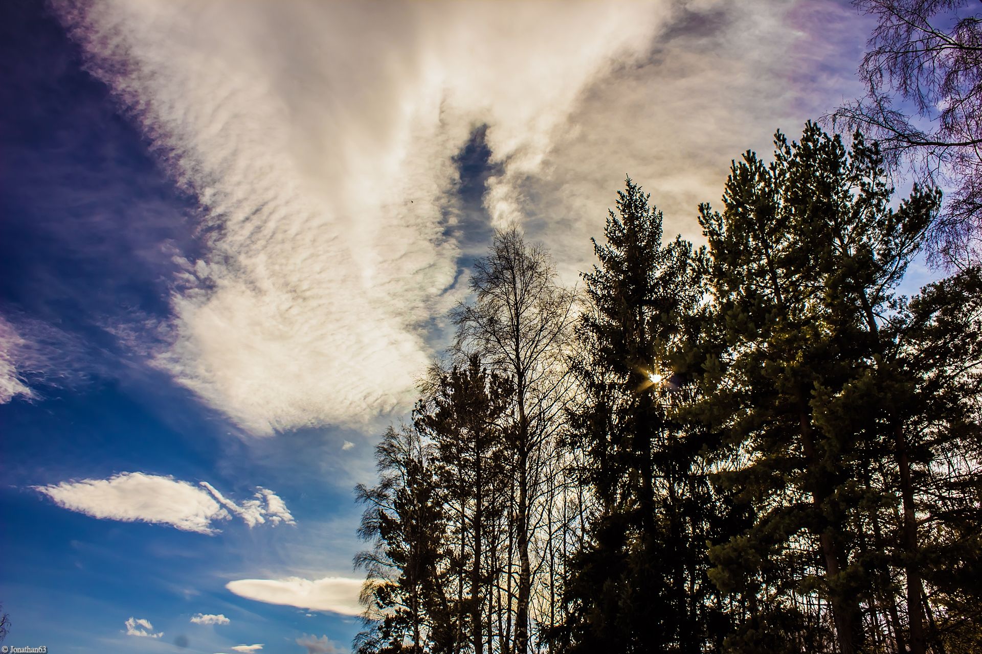 Fonds d'cran Nature Arbres - Forts 