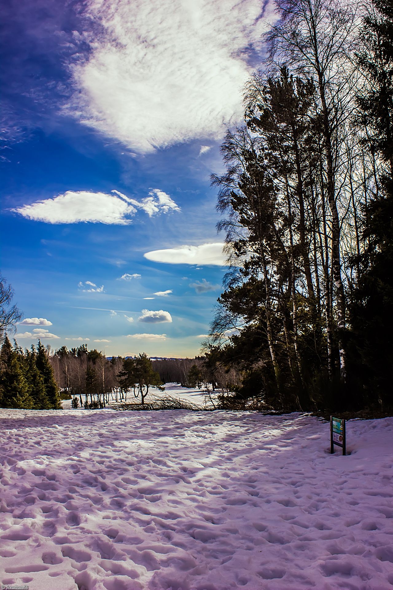 Fonds d'cran Nature Arbres - Forts 