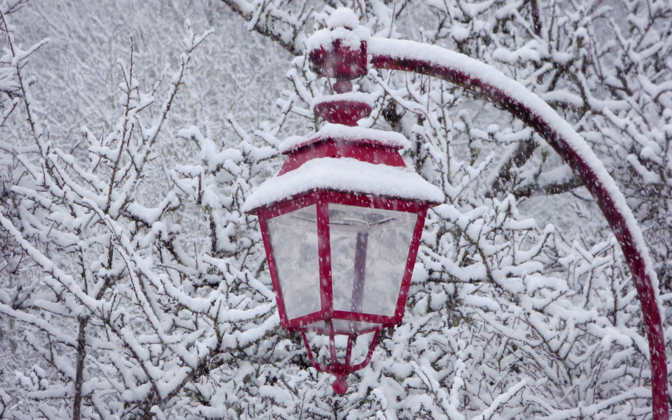 Fonds d'cran Nature Saisons - Hiver 