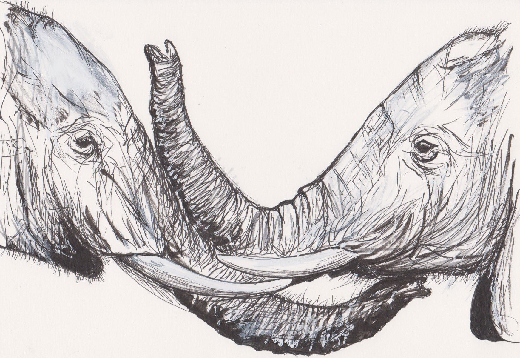 Fonds d'cran Art - Crayon Animaux - Eléphants Eléphants amoureux