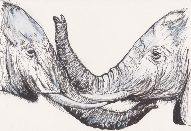 Wallpapers Art - Pencil Animals - Elephants Elphants amoureux