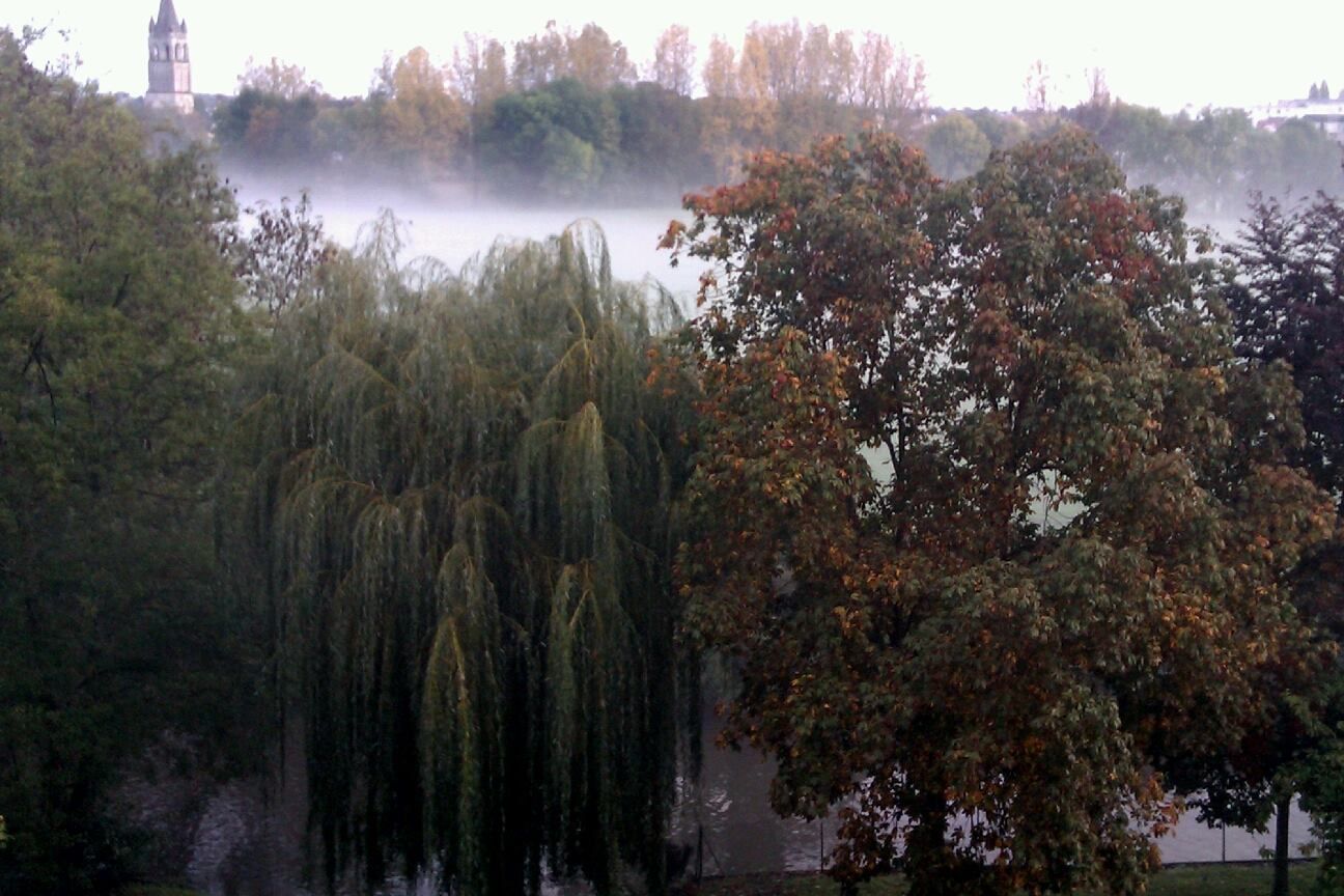 Fonds d'cran Art - Numrique Nature - Arbres, Plantes 