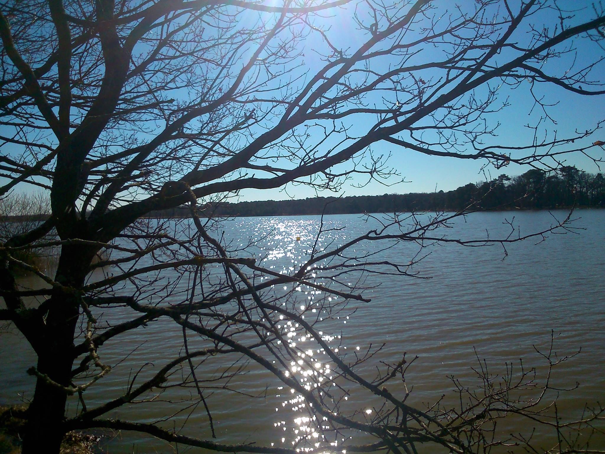 Fonds d'cran Nature Lacs - Etangs 