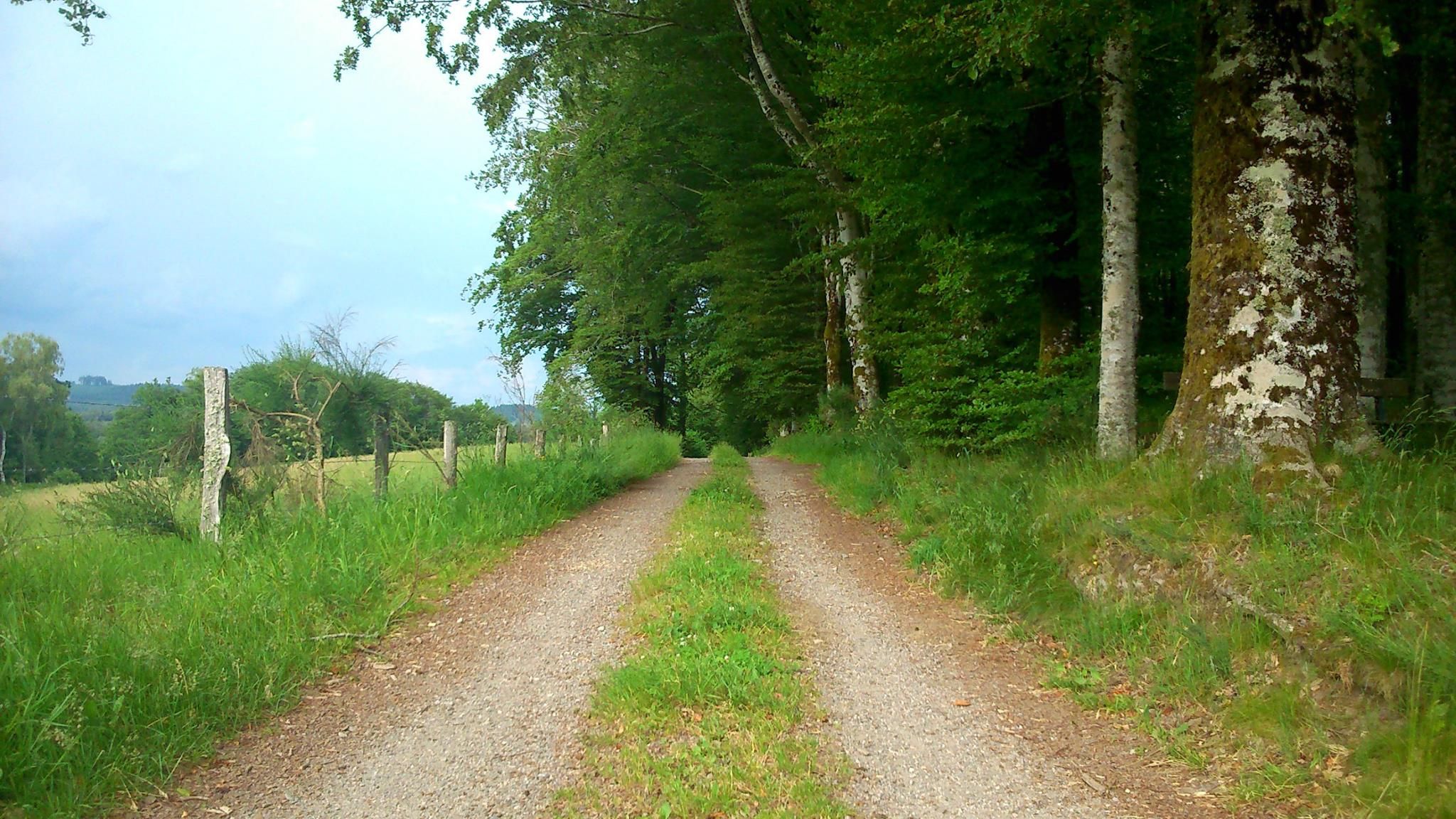 Fonds d'cran Nature Chemins 