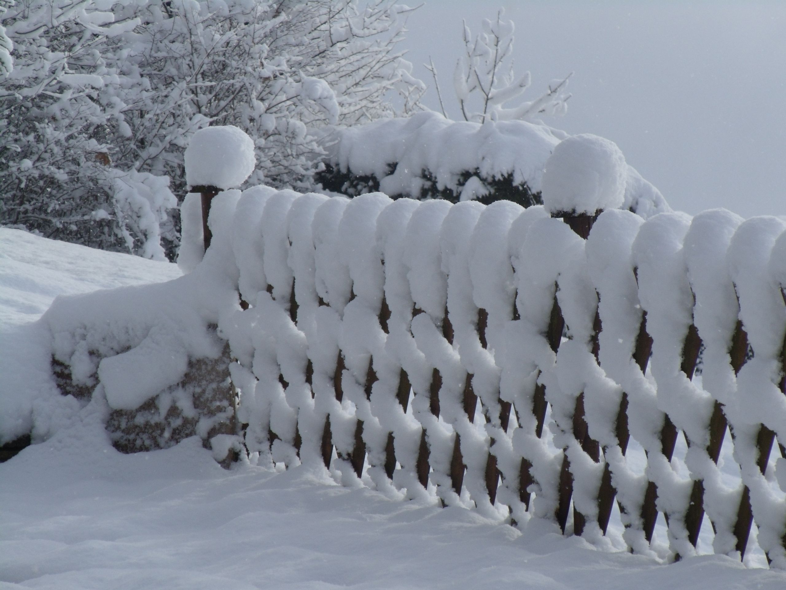 Wallpapers Nature Saisons - Winter 