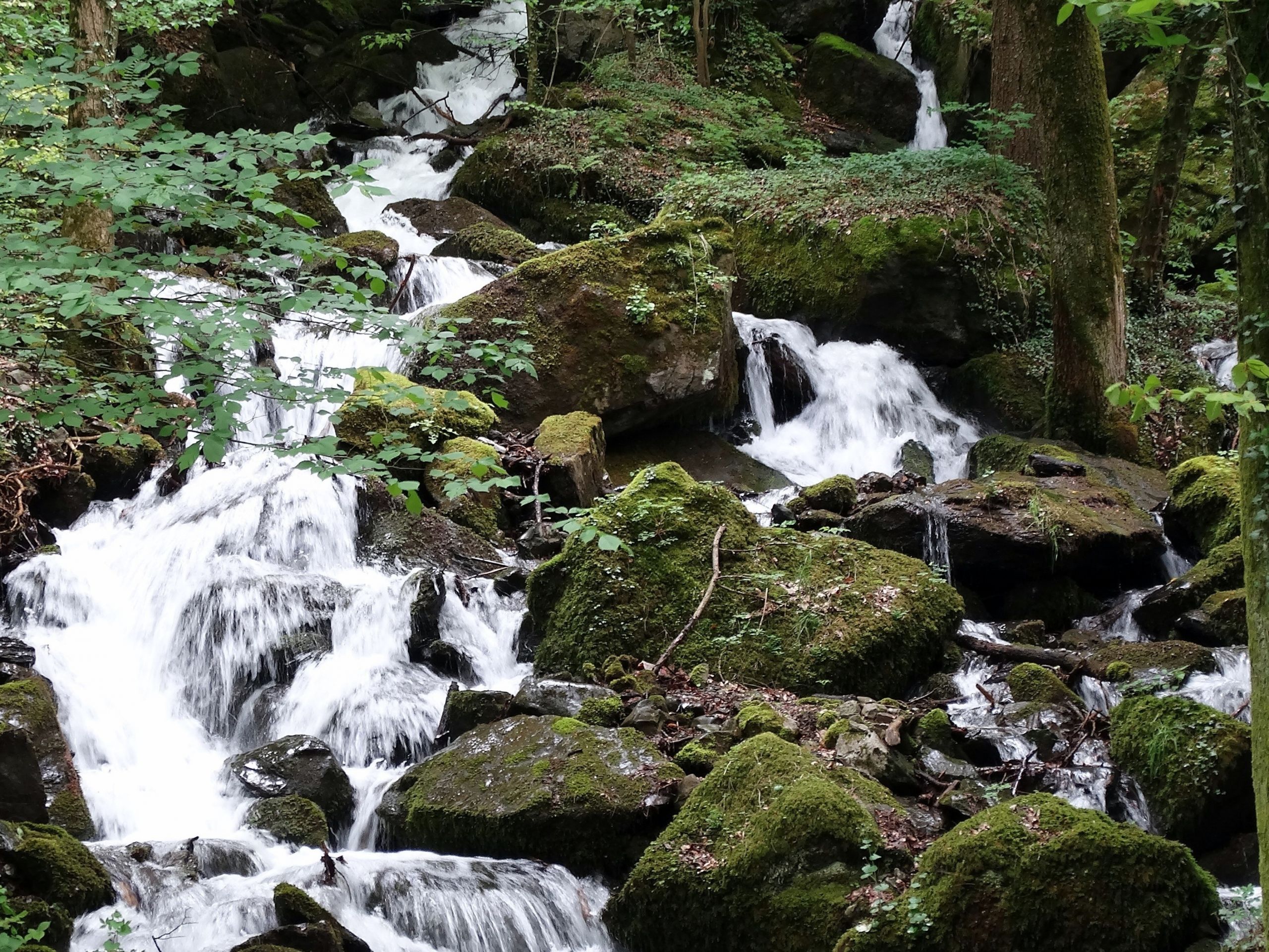 Fonds d'cran Nature Cascades - Chutes 