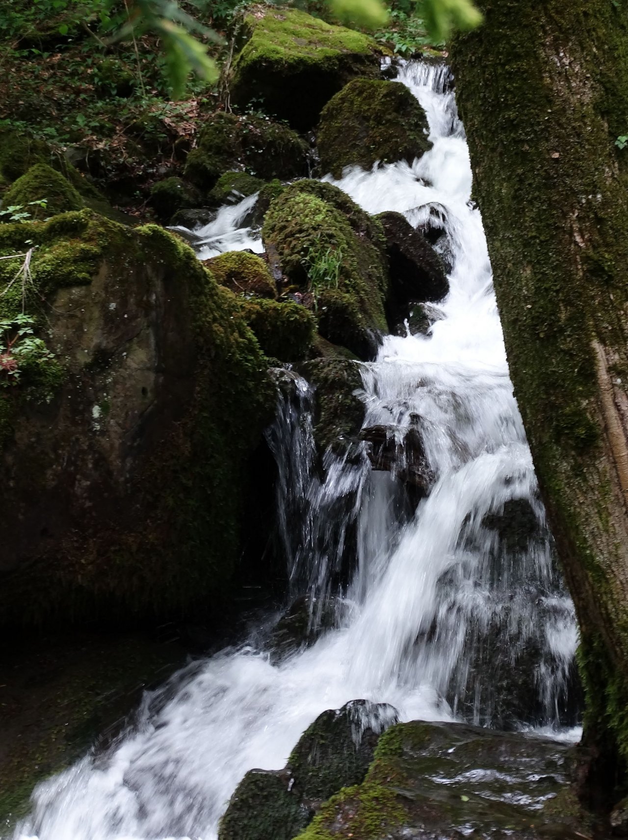 Fonds d'cran Nature Cascades - Chutes 