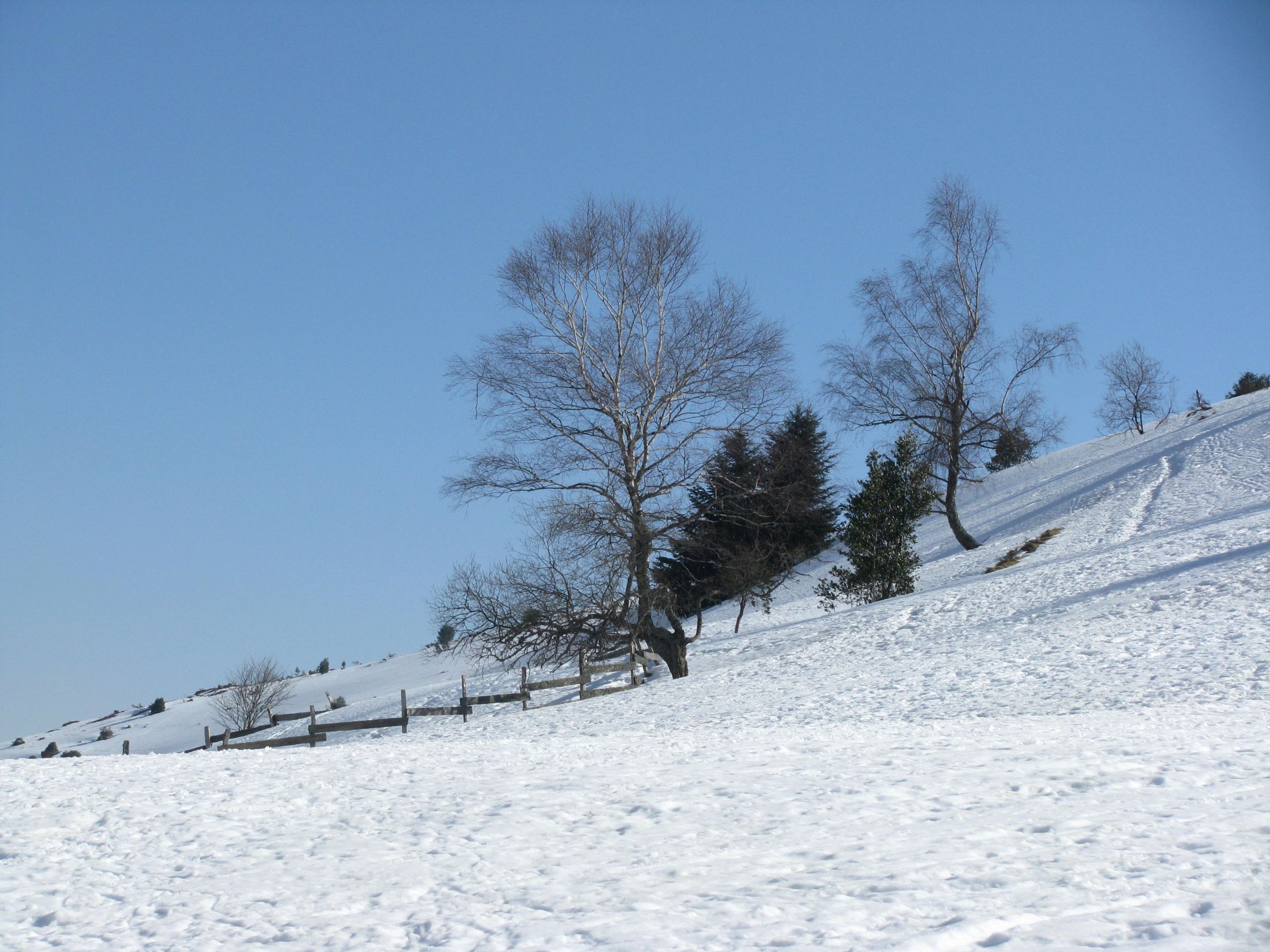 Wallpapers Nature Saisons - Winter 