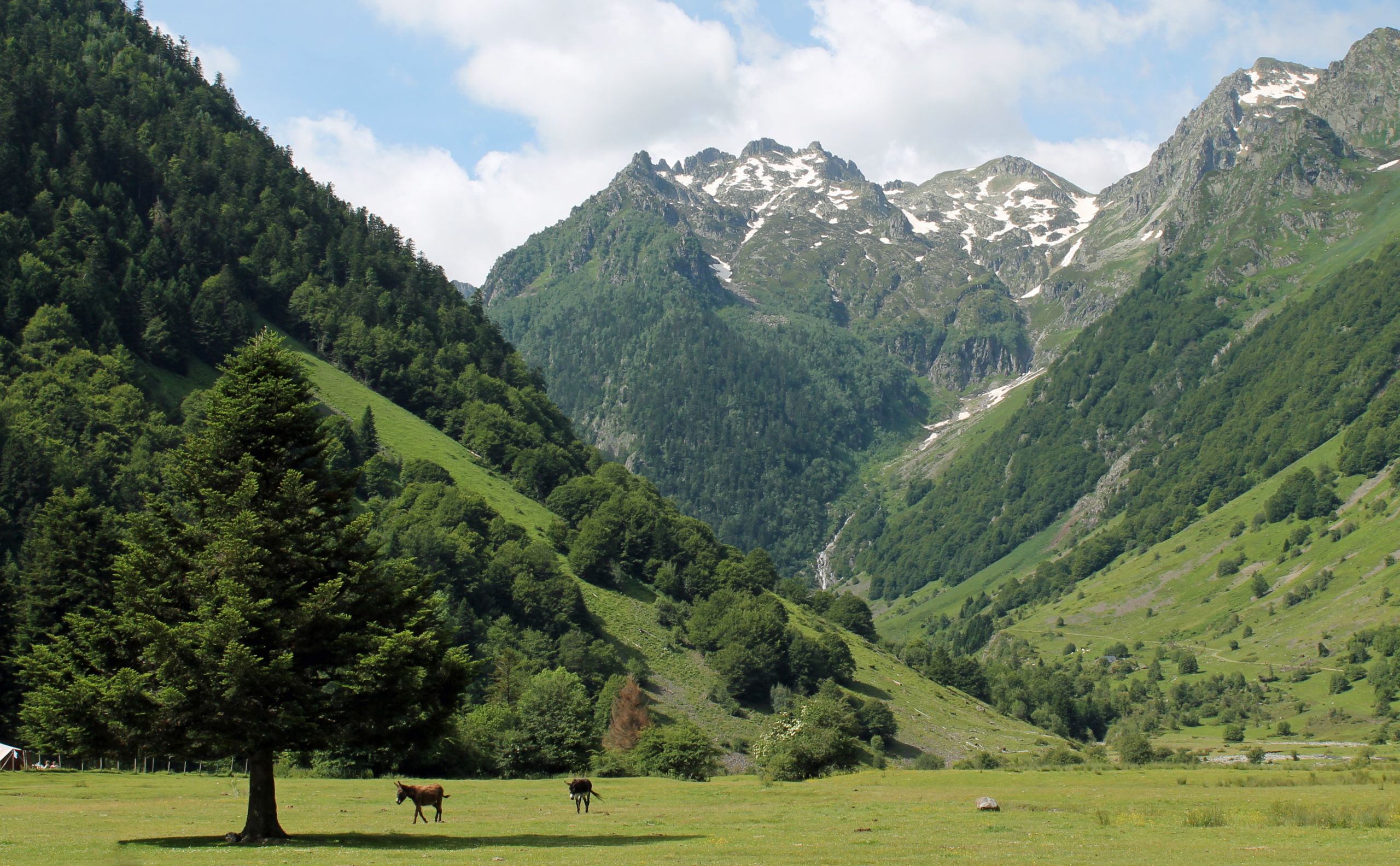 Fonds d'cran Nature Montagnes 