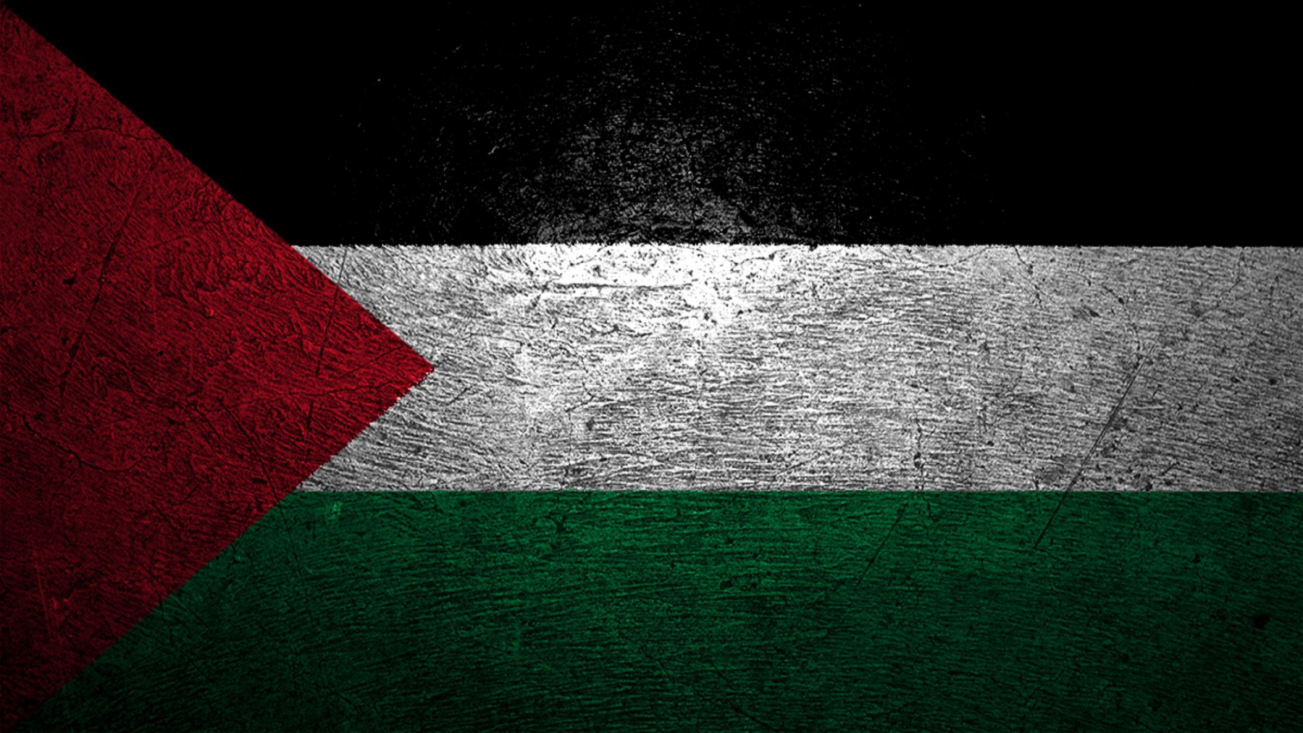 Fonds d'cran Art - Numrique Voyage - Drapeaux Palestine Flag HD