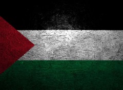  Art - Numrique Palestine Flag HD