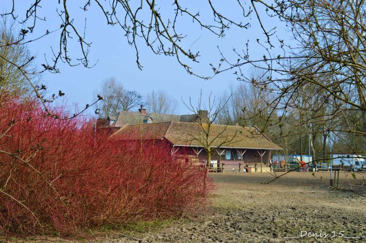 Fonds d'cran Constructions et architecture Constructions diverses Lac St Jean    Annapes 