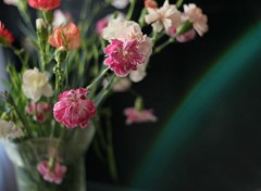  Nature bouquet de fleurs