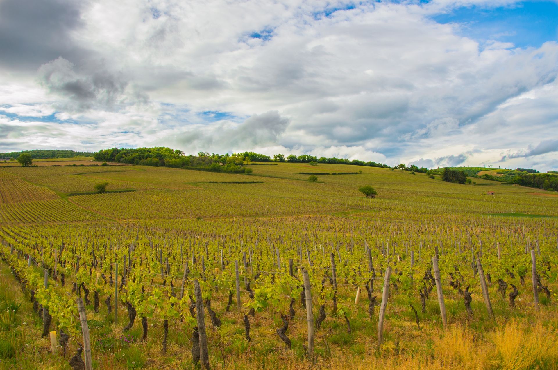 Fonds d'cran Nature Campagne 