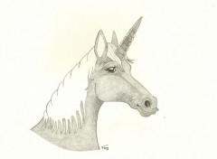  Art - Crayon licorne