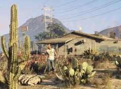  Jeux Vido Screenshots Gta 5 PC