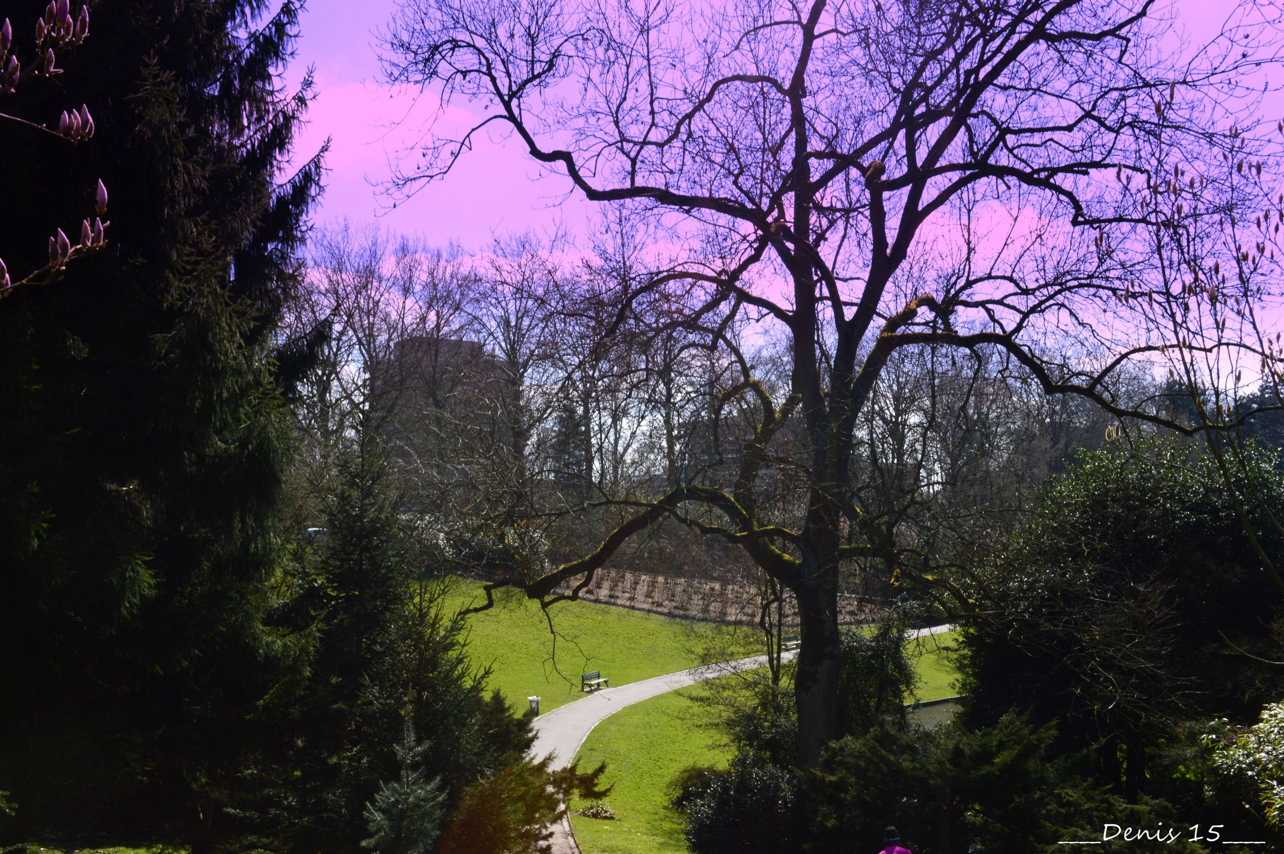 Fonds d'cran Nature Parcs - Jardins parc Barbieux-Croix