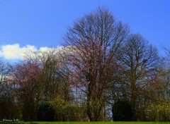  Nature parc Barbieux-Croix