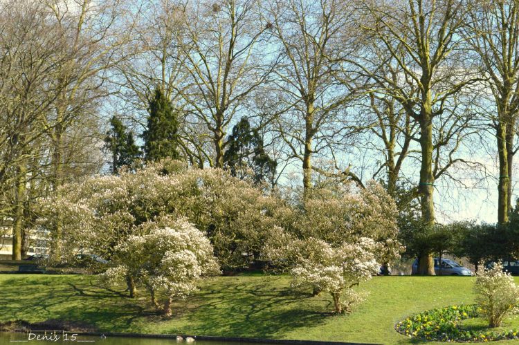 Fonds d'cran Nature Parcs - Jardins parc Barbieux-Croix