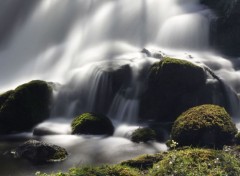  Nature Cascade de l'Argentelet à La Roche en Brenil (Côte d'Or)