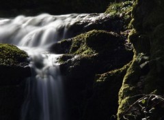  Nature Cascade de l'Argentelet à La Roche en Brenil (Côte d'Or)