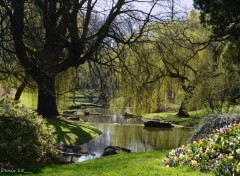  Nature parc Barbieux-Croix