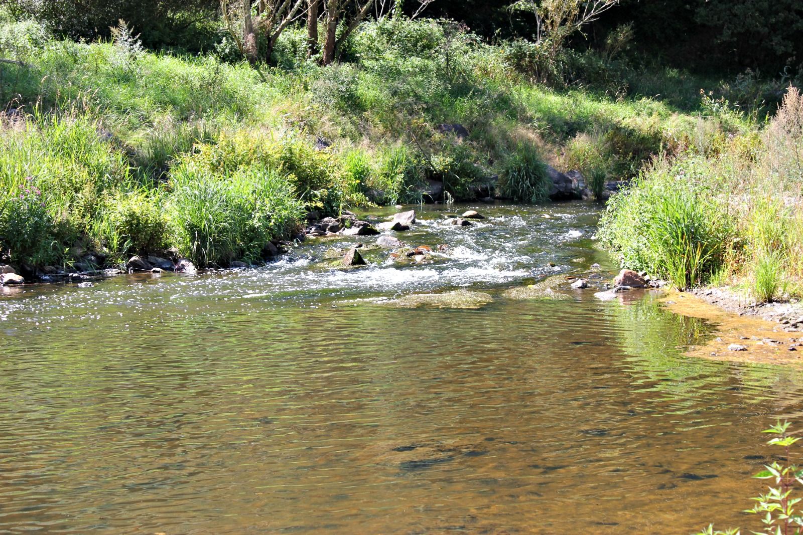 Fonds d'cran Nature Fleuves - Rivires - Torrents 