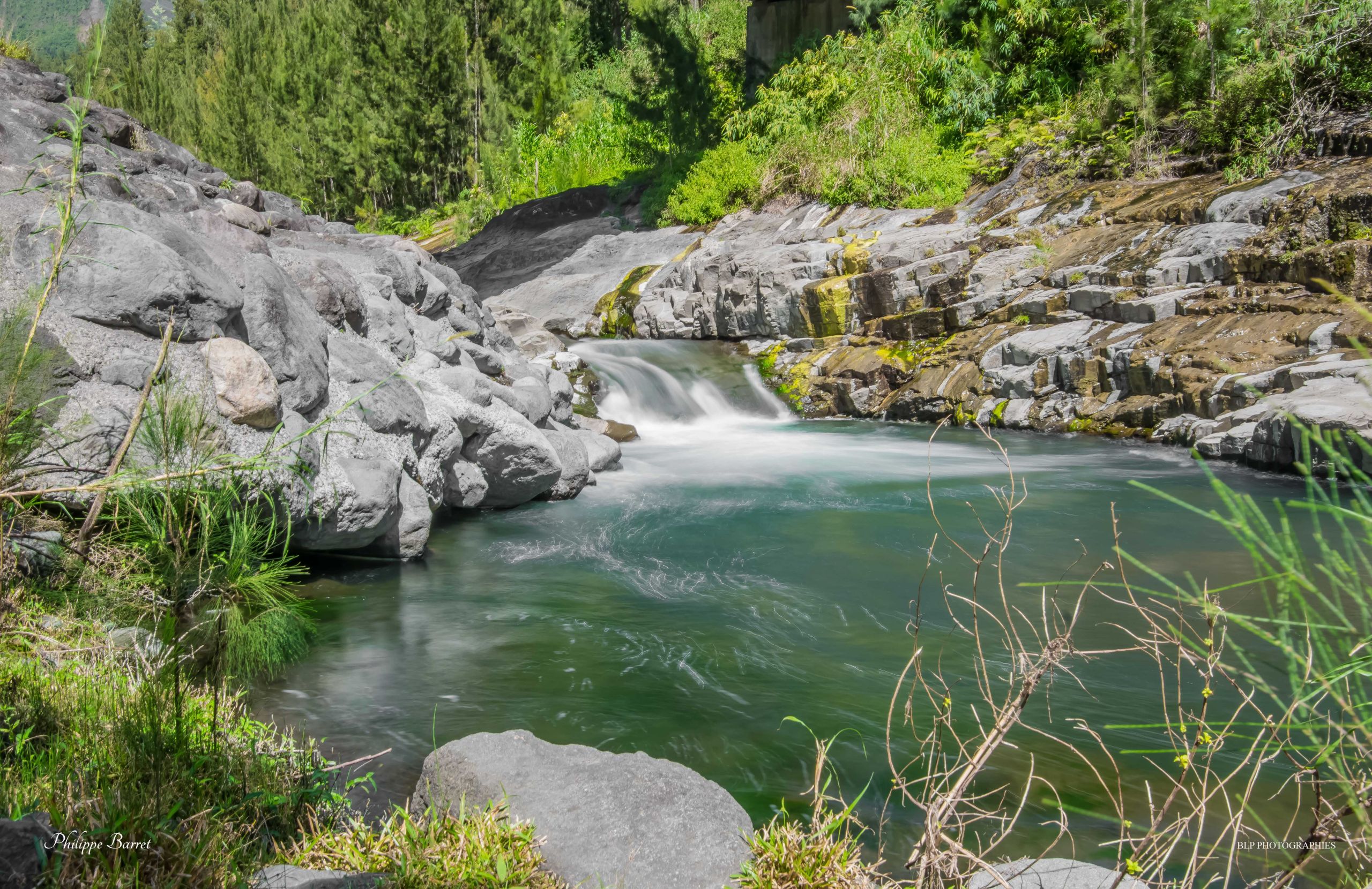 Wallpapers Nature Rivers - Torrents Rivière Fleurs Jaunes