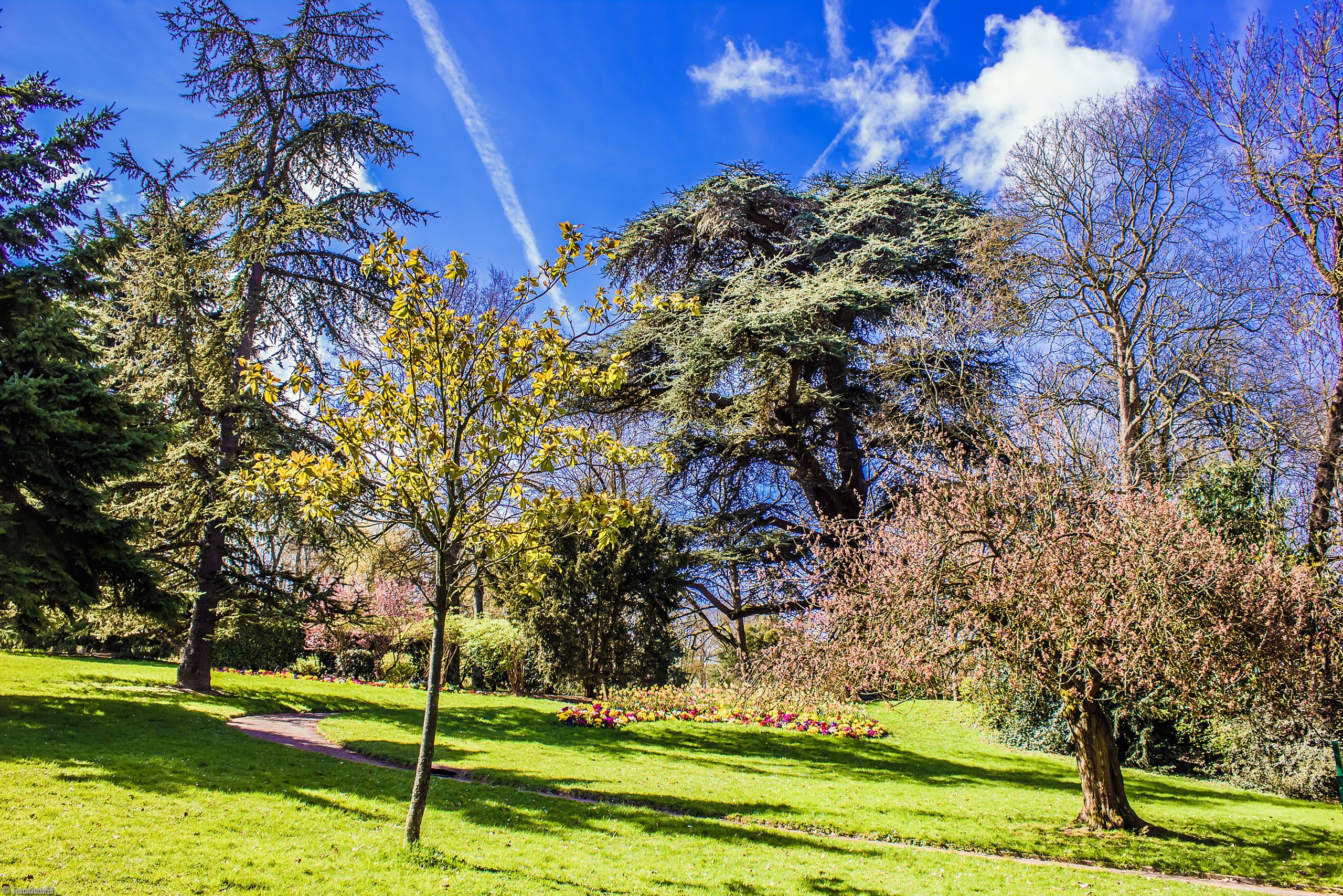 Fonds d'cran Nature Parcs - Jardins 