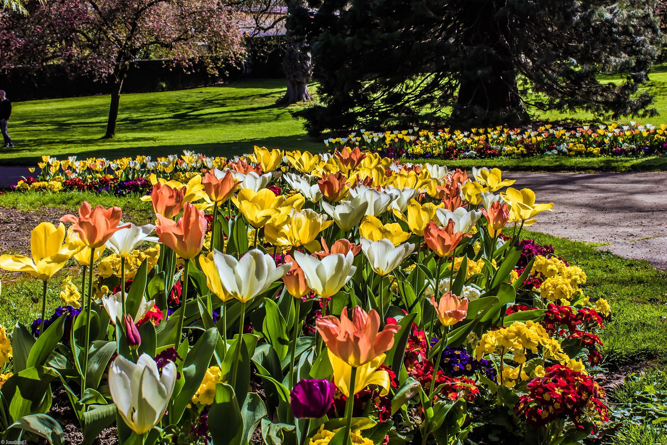 Fonds d'cran Nature Fleurs 