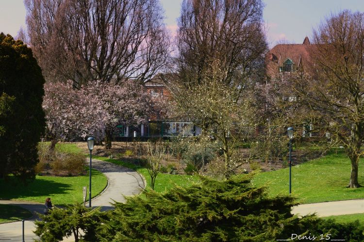 Fonds d'cran Nature Parcs - Jardins Parcs et jardins