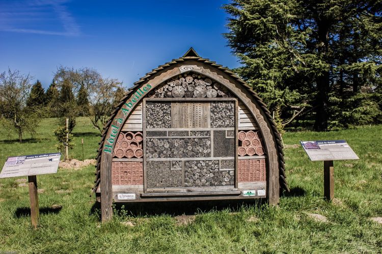 Fonds d'cran Constructions et architecture Divers Hôtel à Abeilles.