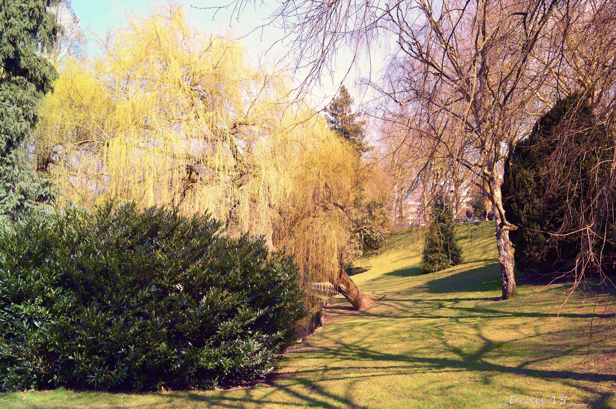 Fonds d'cran Nature Parcs - Jardins parc Barbieux-Croix