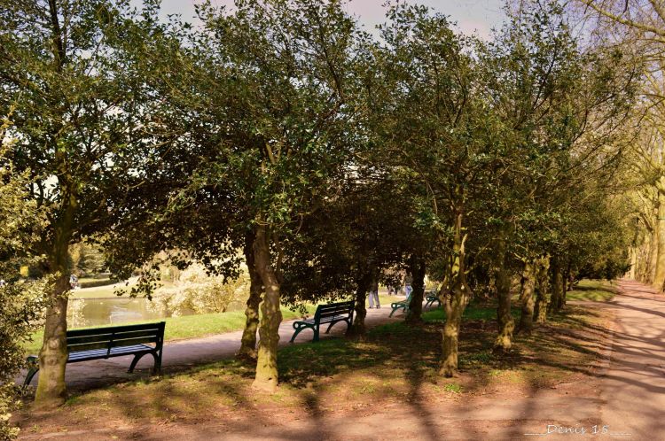 Fonds d'cran Nature Parcs - Jardins parc Barbieux-Croix