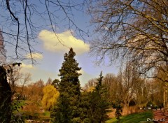  Nature parc Barbieux-Croix