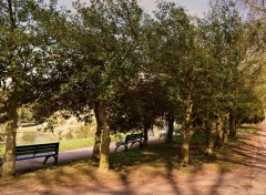  Nature parc Barbieux-Croix