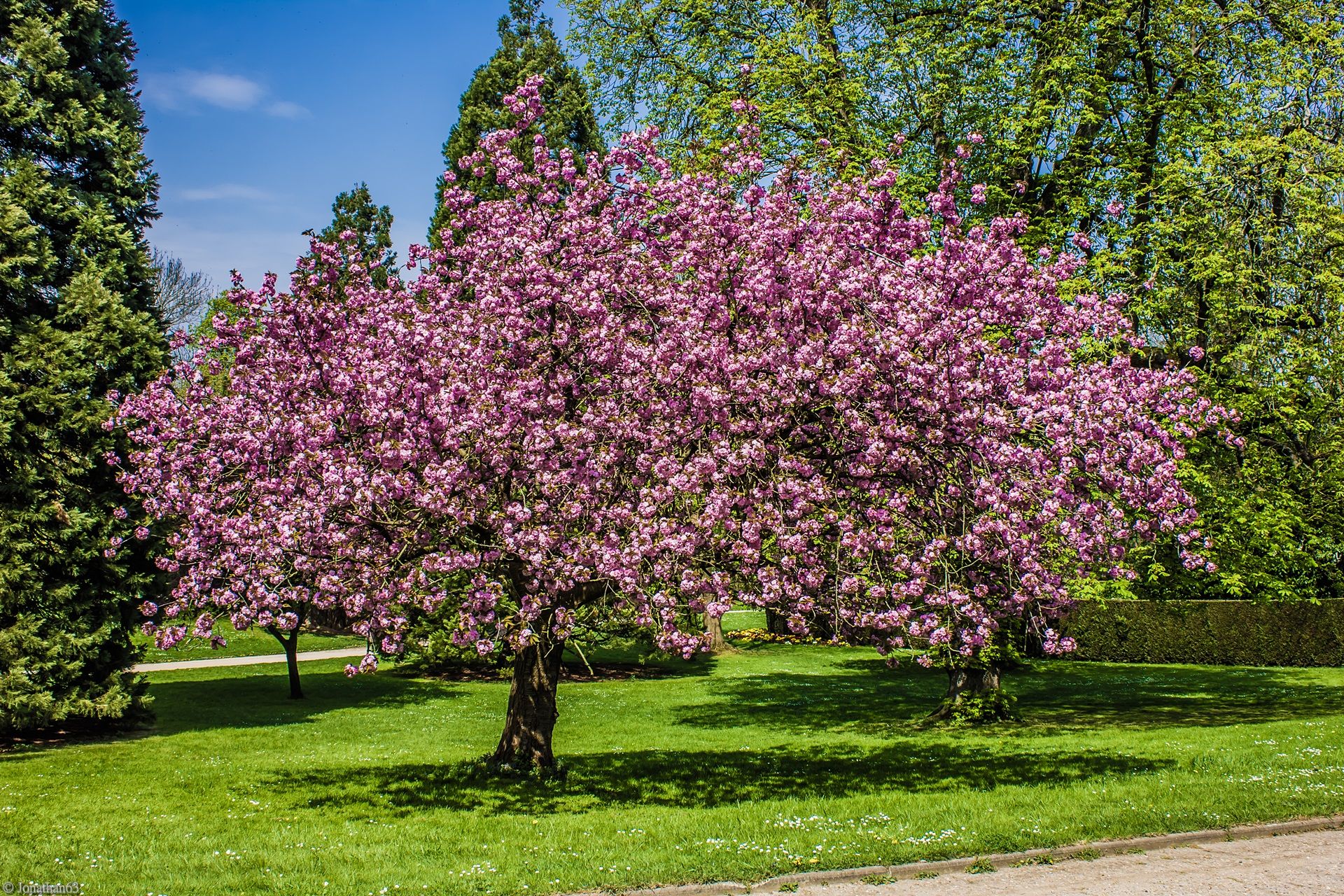 Fonds d'cran Nature Parcs - Jardins 