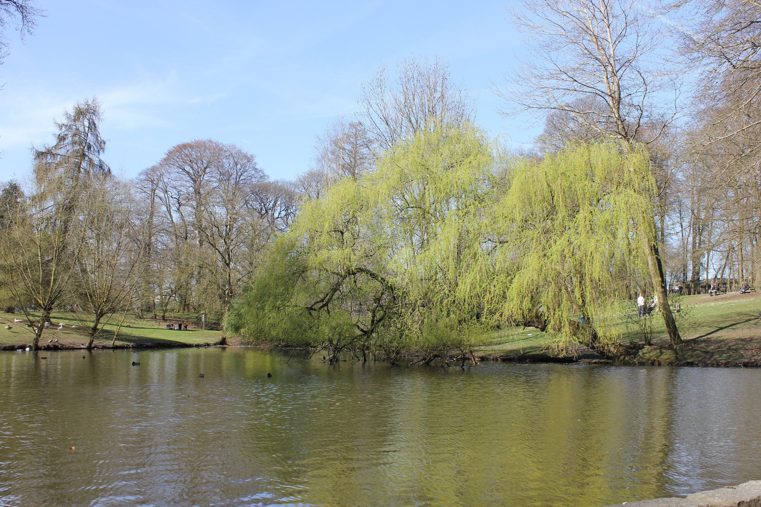 Fonds d'cran Nature Parcs - Jardins 