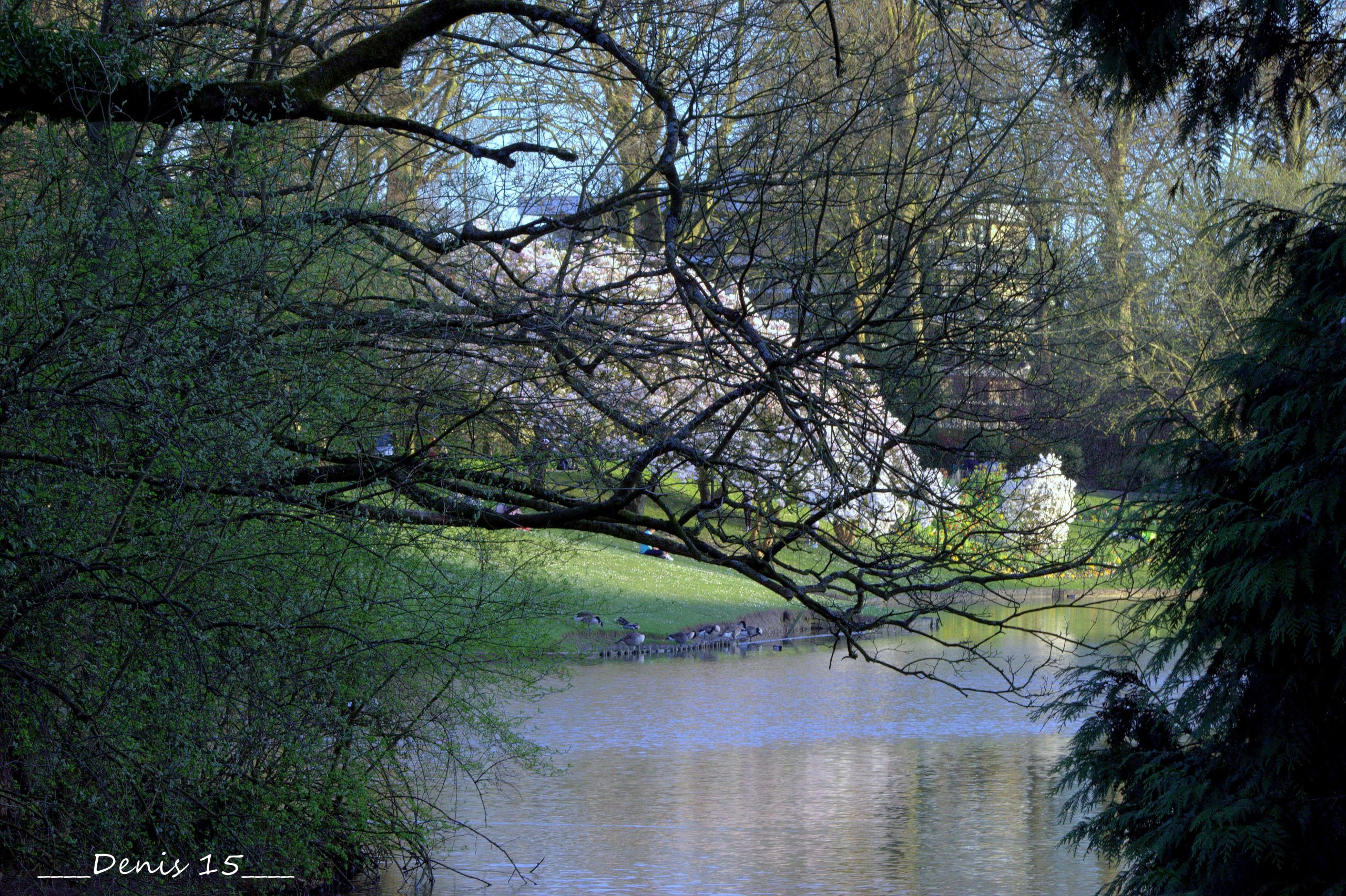 Fonds d'cran Nature Parcs - Jardins Parcs et jardins