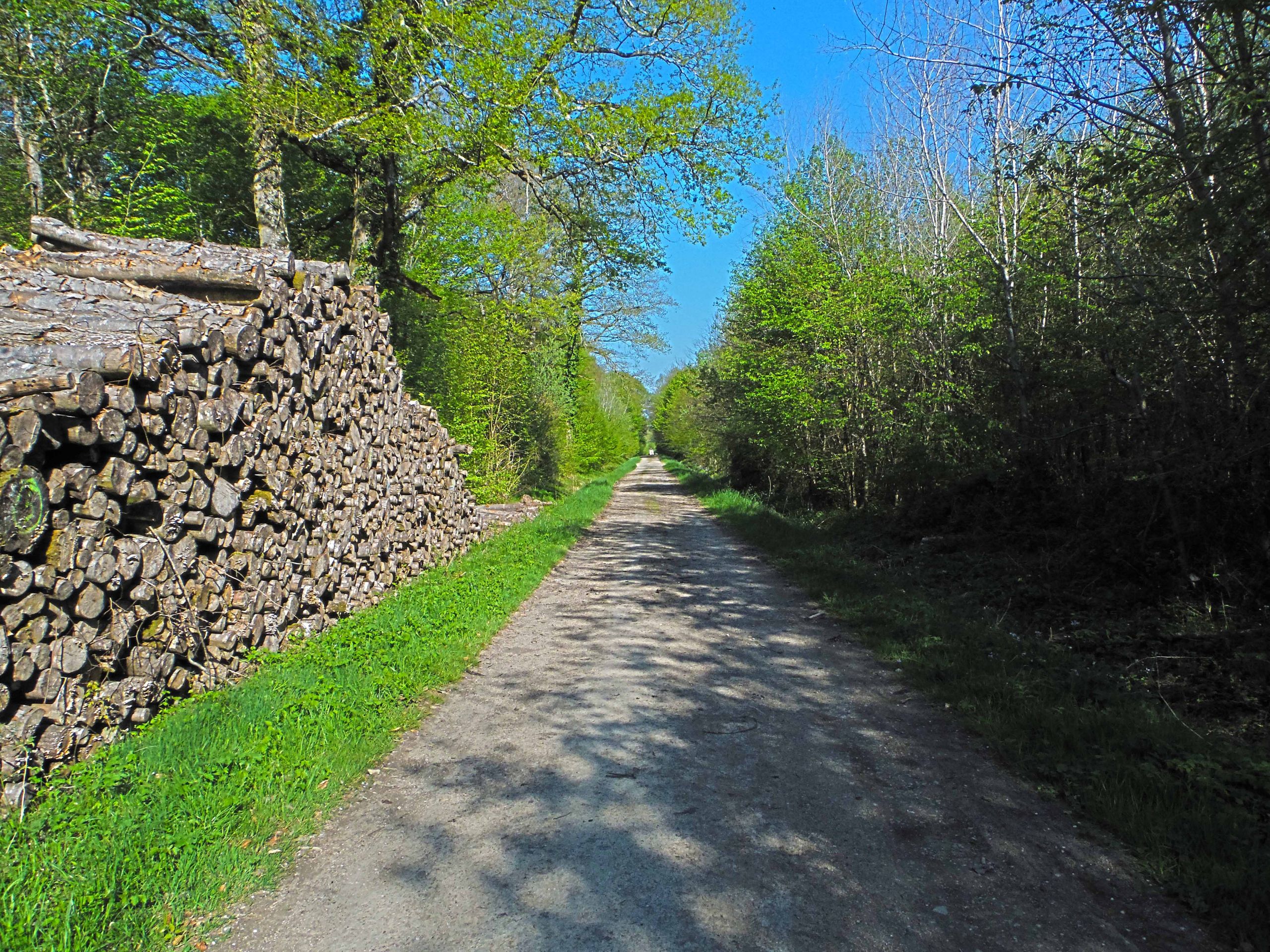 Wallpapers Nature Paths Fort de Cteaux