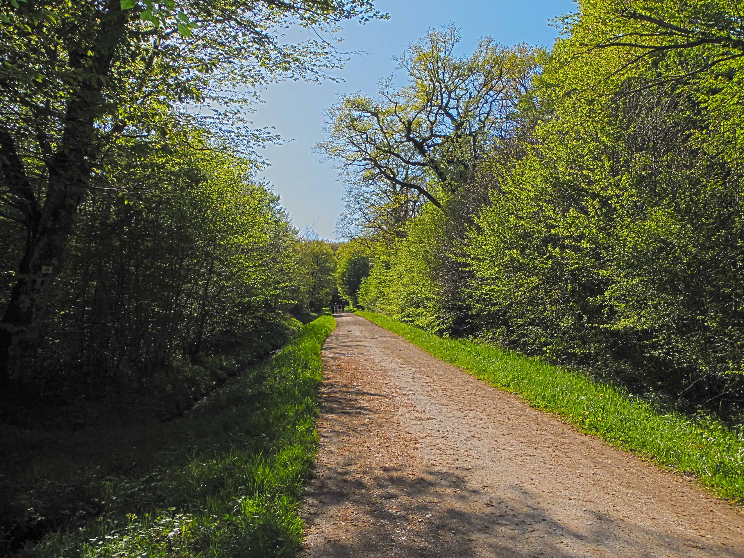 Fonds d'cran Nature Chemins Fort de Cteaux