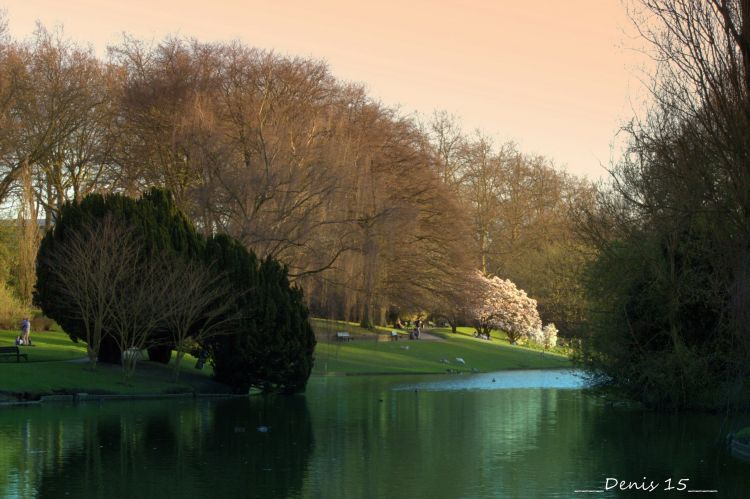 Fonds d'cran Nature Parcs - Jardins Parcs et jardins