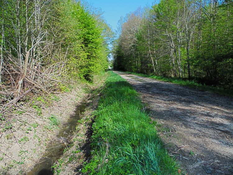 Fonds d'cran Nature Chemins Fort de Cteaux