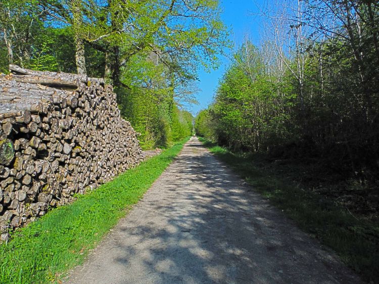 Wallpapers Nature Paths Fort de Cteaux