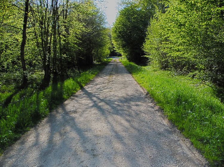 Wallpapers Nature Paths Fort de Cteaux