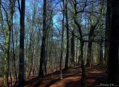  Nature Mont-noir  et  Roteberg