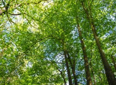  Nature Fort de Cteaux