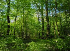  Nature Fort de Cteaux