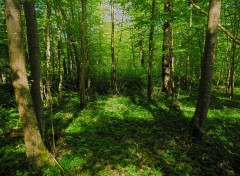  Nature Fort de Cteaux